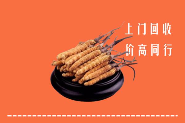 高价求购：涵江区回收散虫草