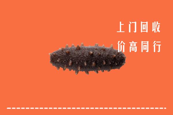 高价求购：涵江区回收海参